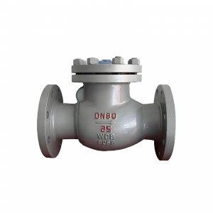 DN50 PN25 介質(zhì)：甲胺，溫度：80℃止回閥