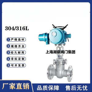 Z941W-16P，DN250，CF8/F304不銹鋼電動(dòng)閘閥